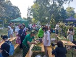  PODSUMOWANIE KONKURSU DLA KGW pt. „Zioła świętojańskie w deserach i lemoniadach” .
