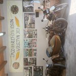 AGROTURYSTYKA BRODZIAKÓWKA