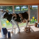 Gospodarstwo Agroturystyczne GIPROL