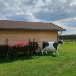 Gospodarstwo Agroturystyczne GIPROL