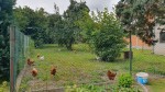 Gospodarstwo Agroturystyczne Heleny i Huberta Brzózka