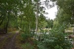 Agroturystyka "DZIKI RAJ"