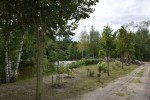 Agroturystyka "DZIKI RAJ"