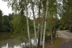 Agroturystyka "DZIKI RAJ"
