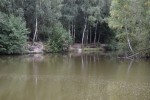 Agroturystyka "DZIKI RAJ"