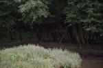 Agroturystyka "DZIKI RAJ"