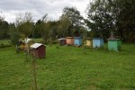 Agroturystyka "DZIKI RAJ"
