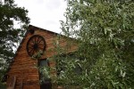 Agroturystyka "DZIKI RAJ"
