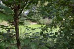 Pałac w Piotrowicach Nyskich