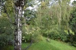 Pałac w Piotrowicach Nyskich
