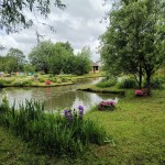 Agroturystyka "DZIKI RAJ"