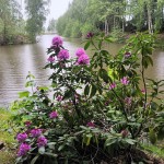 Agroturystyka "DZIKI RAJ"