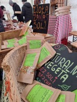 Ależ to był dzień! 