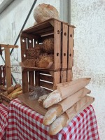 Ależ to był dzień! 