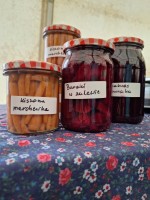 Ależ to był dzień! 