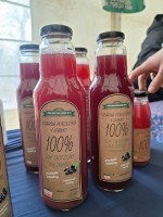 Ależ to był dzień! 