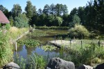 Rancho &bdquo;Mileni&oacute;wka&rdquo;