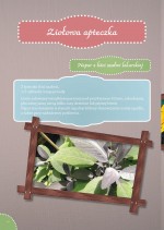 Zioła i kwiaty jadalne w kuchni - broszura